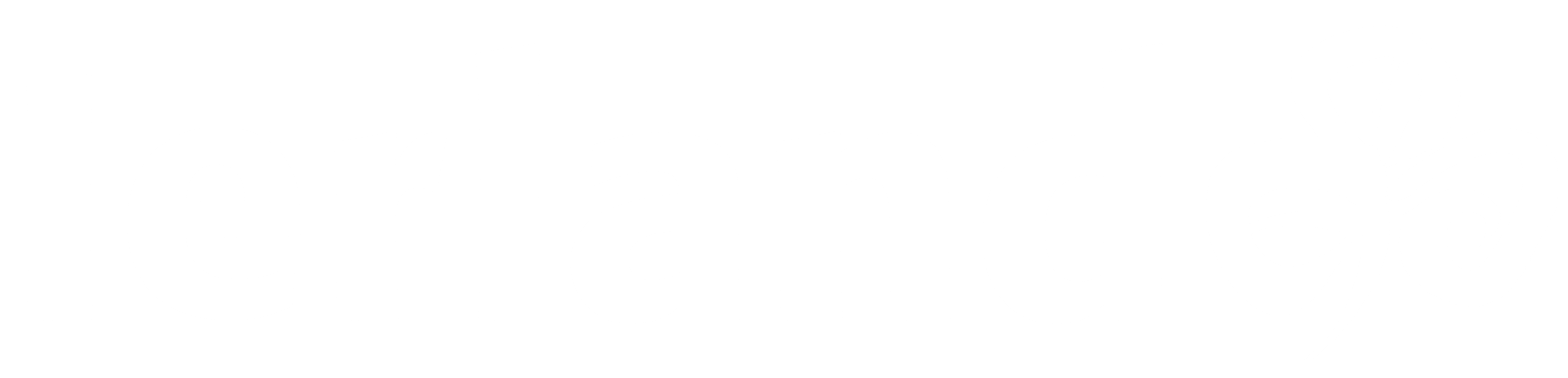 Tourism Ireland Logo