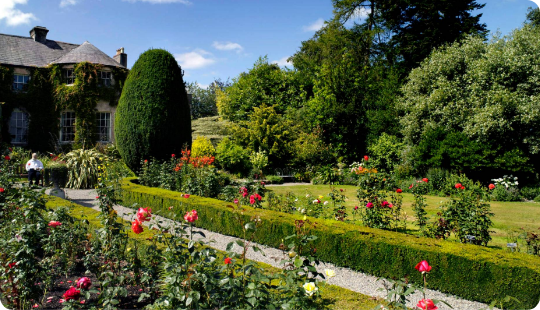 A garden with bushes and flowers along a walkway